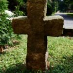 Varhany v kostele sv. Havla v Chlumci.