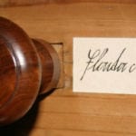 Varhany v kostele sv. Václava v Trpíně (foto Dalibor Michek)